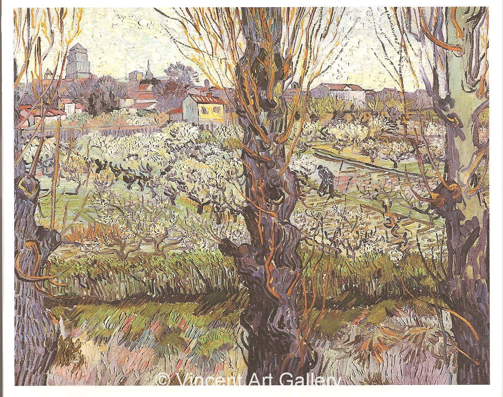 JH1685, Orchard in Blossom with View of Arles